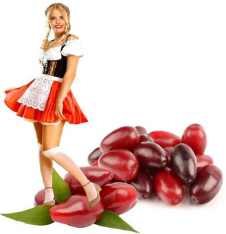 Eis & Gelati. Dirndl Früchte / Kornelkirschen zur Herstellung von Speiseeis. Dirndleis aus Fruchtpulpen